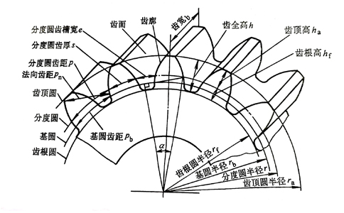 標準直齒輪外部結(jié)構圖.jpg